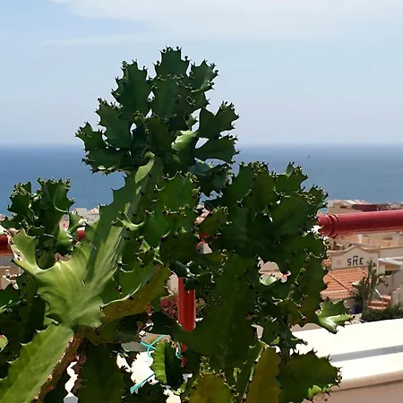 Super Terrasse Vue Panoramique شقة غاروشا
