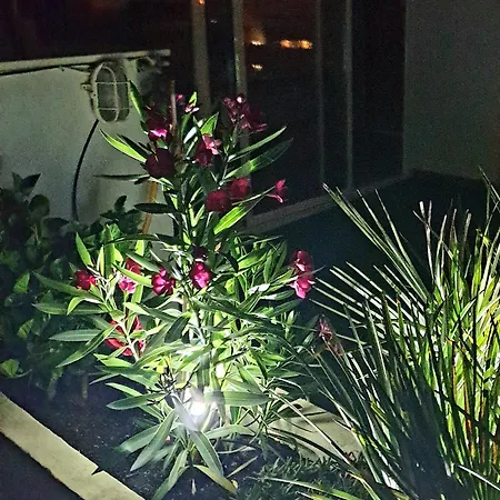 Апартаменты Super Terrasse Vue Panoramique Гарруча